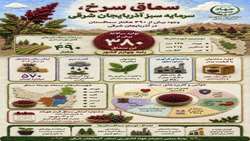 سماق؛ محصولی کم‌آب‌بر با ظرفیت بالای اقتصادی و صادراتی در آذربایجان شرقی